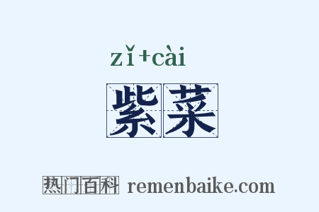 紫菜是什么意思的图片